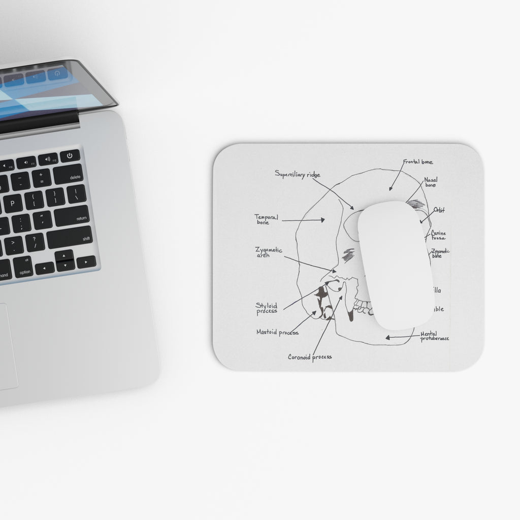 Anatomical Skull Mouse Pad, Science Gift for Students, Office Desk Accessory, Unique Home Decor, Educational Art