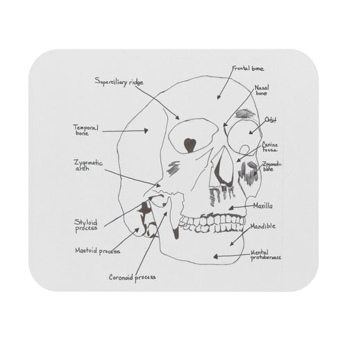 Anatomical Skull Mouse Pad, Science Gift for Students, Office Desk Accessory, Unique Home Decor, Educational Art
