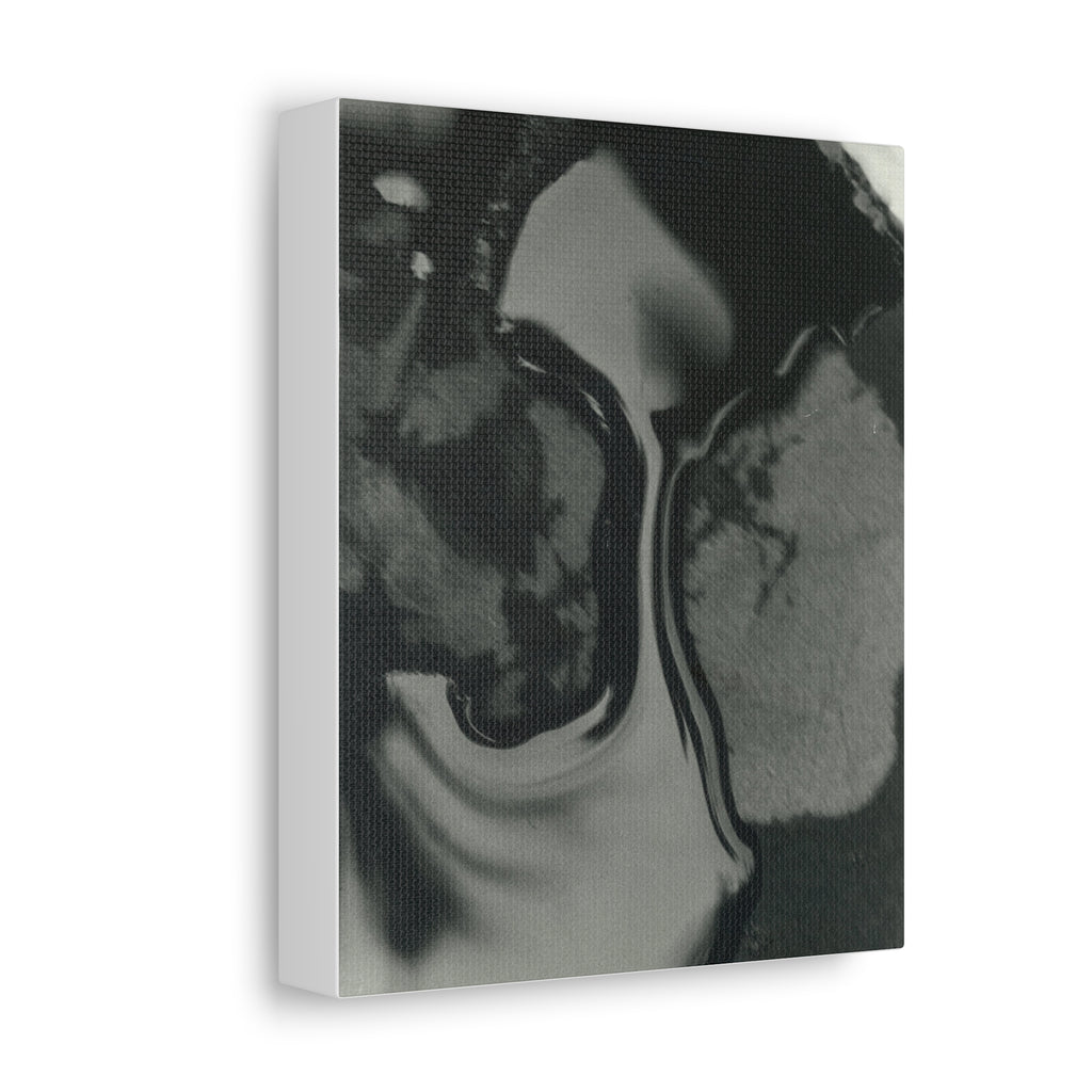 Abstract Black and White Stretched Canvas Art | Modern Home Decor, Office Wall Art, Minimalist Print, Gift for Art Lovers