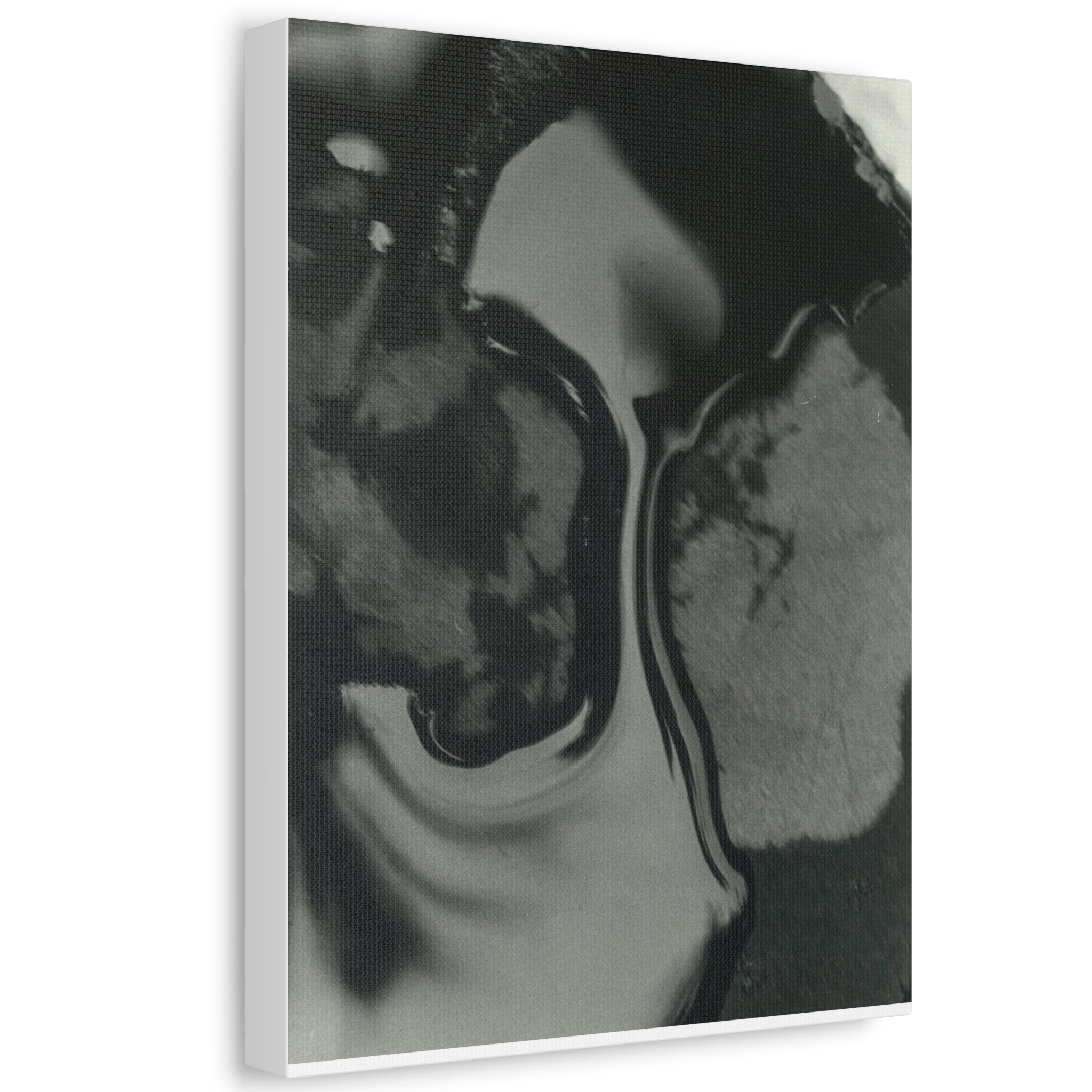 Abstract Black and White Stretched Canvas Art | Modern Home Decor, Office Wall Art, Minimalist Print, Gift for Art Lovers