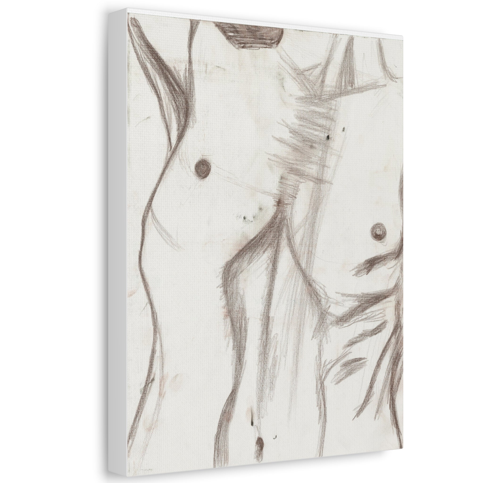 Stretched Canvas