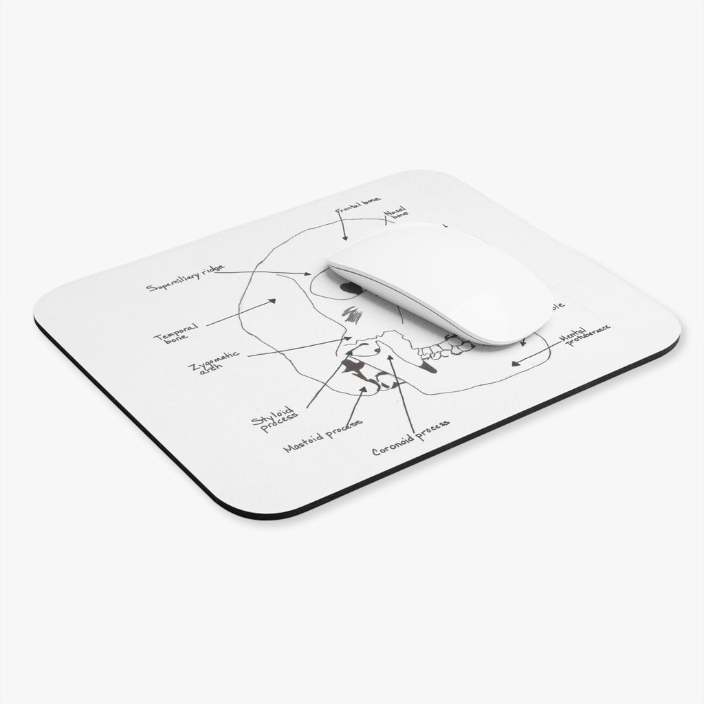 Anatomical Skull Mouse Pad, Science Gift for Students, Office Desk Accessory, Unique Home Decor, Educational Art
