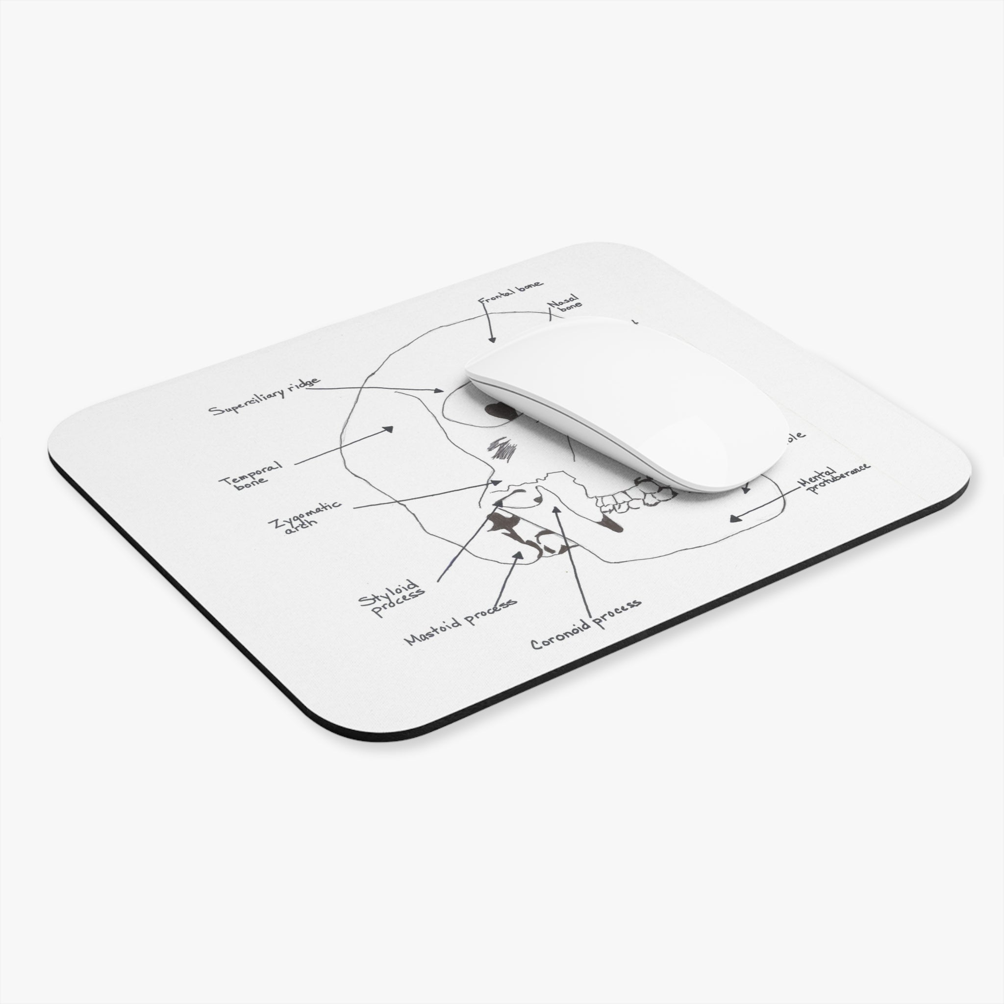 Anatomical Skull Mouse Pad, Science Gift for Students, Office Desk Accessory, Unique Home Decor, Educational Art